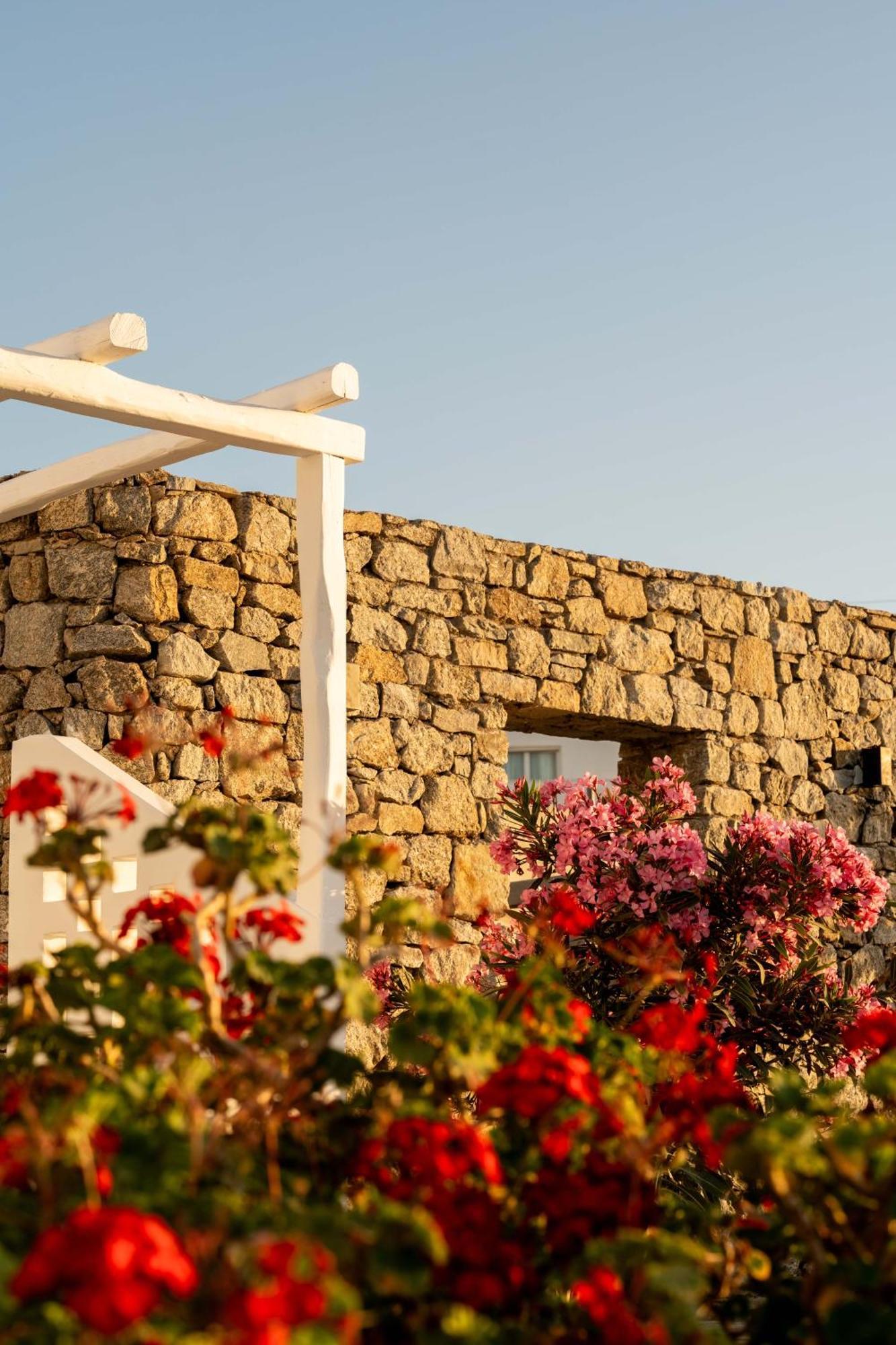 Philosophy Of Mykonos Boutique Hotel Mykonos Town Exterior photo